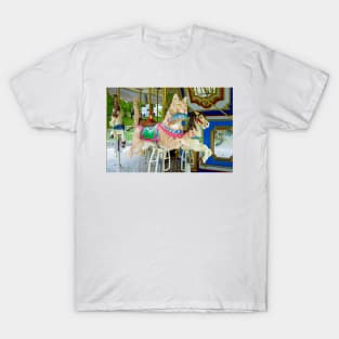 Boston Common Carousel Study 4 T-Shirt